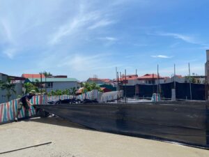 Dự án 4 -10 - Thi công biệt thự tân cổ điển